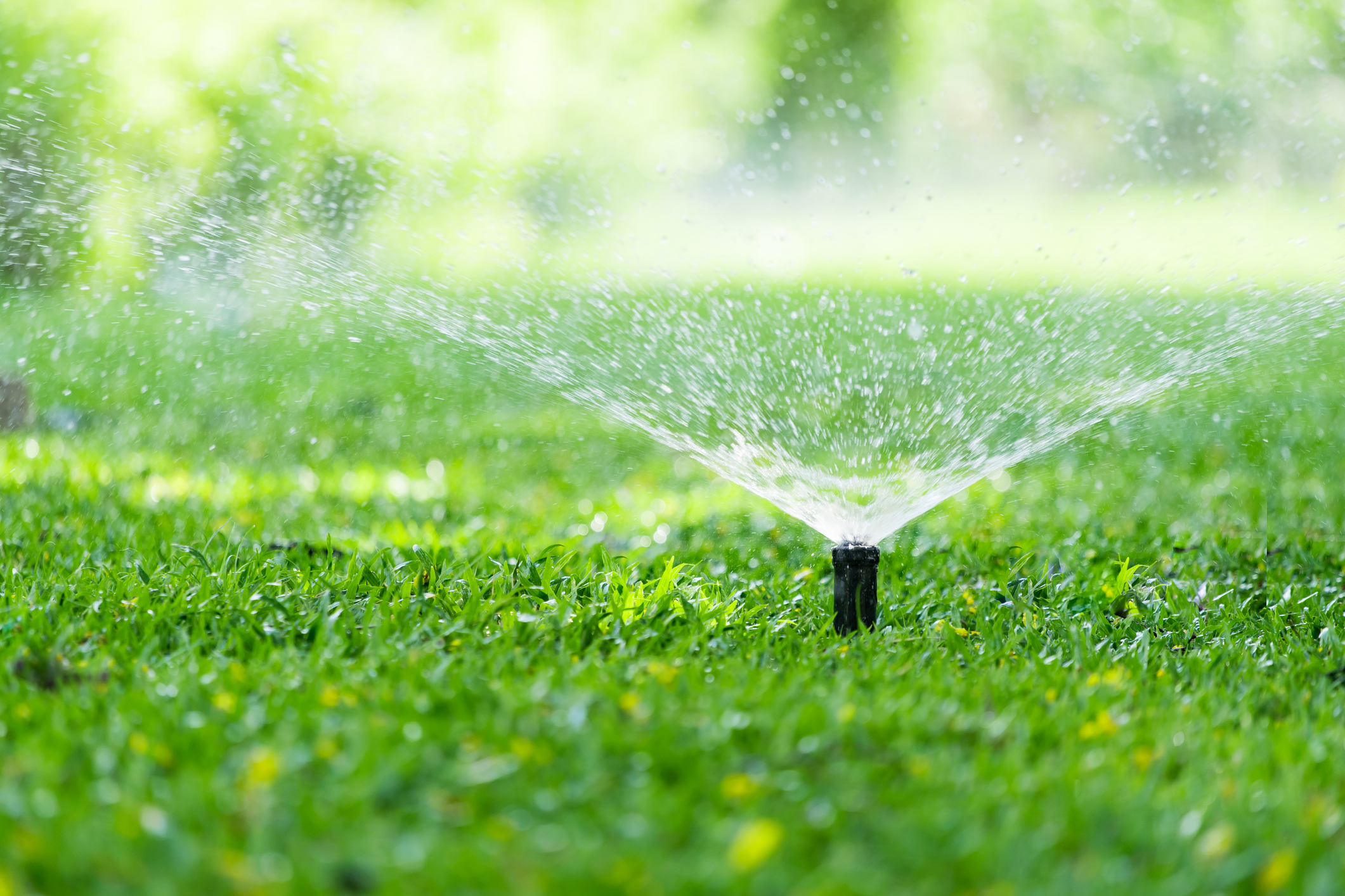 Pro Series Impulse Sprinkler  Early's Farm & Garden Centre