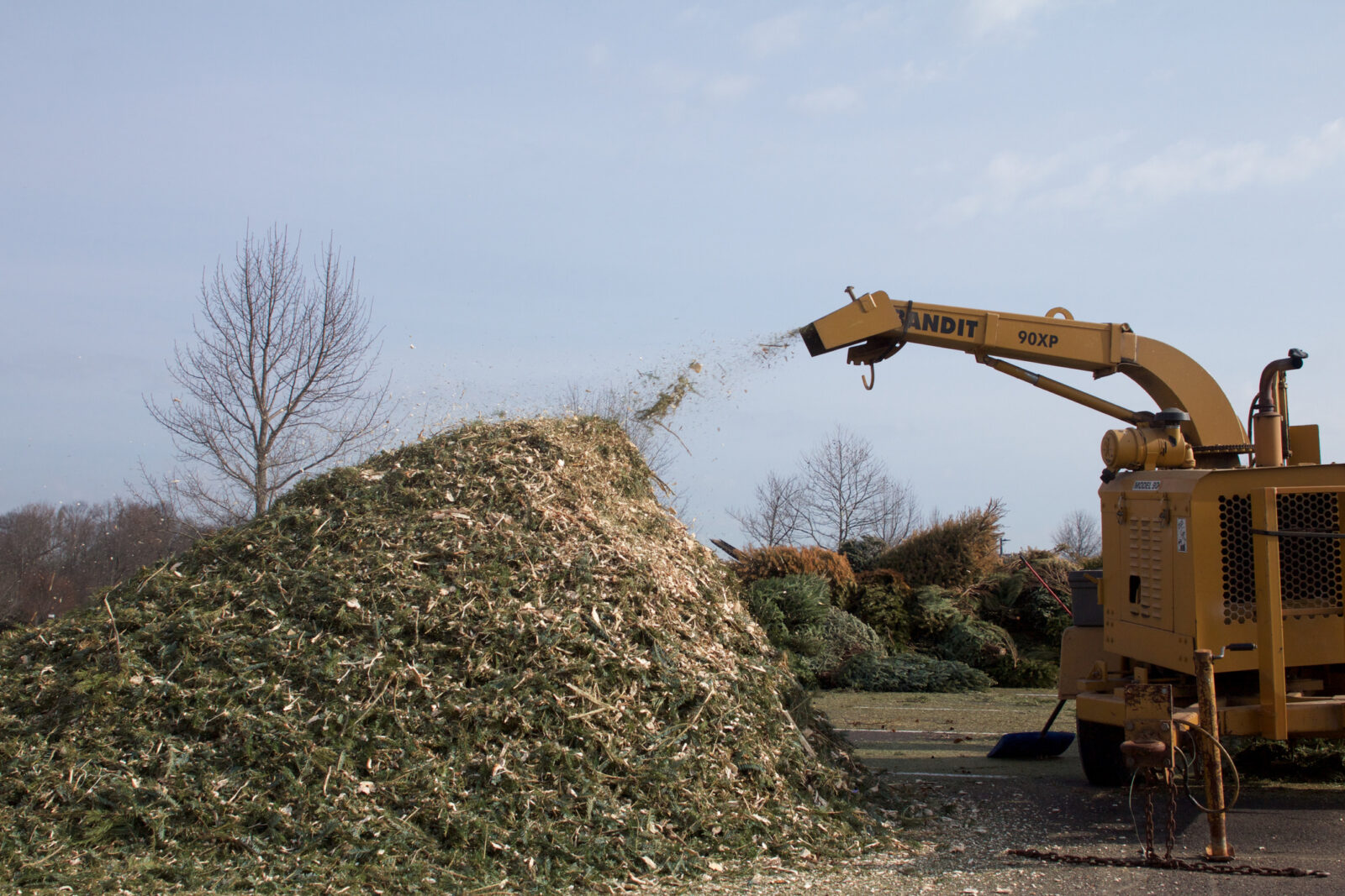 Keep the Holidays Green Recycle That Christmas Tree! Lehigh County