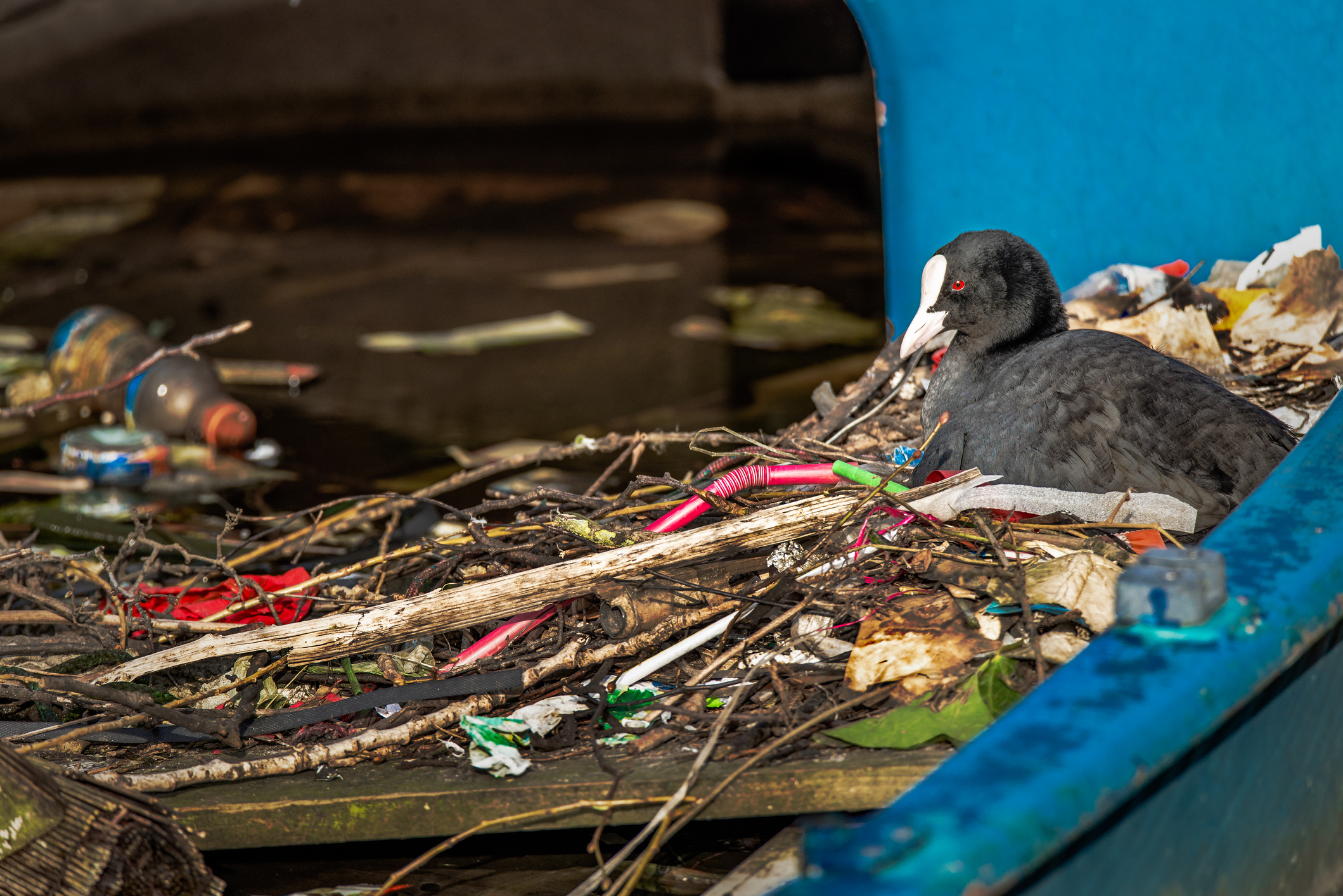 National Skip the Straw Day - How to Reduce Straw Use and Plastic Pollution