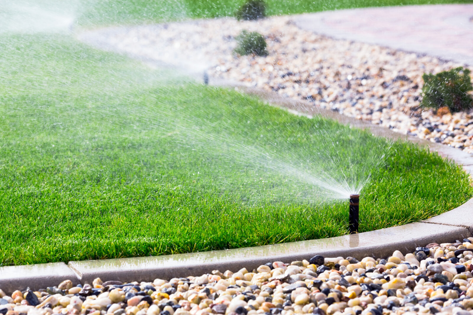 A picture of a sprinkler system spraying water on a green lawn and a gravel path, for an LCA blog post about sprinkler system tuneups.